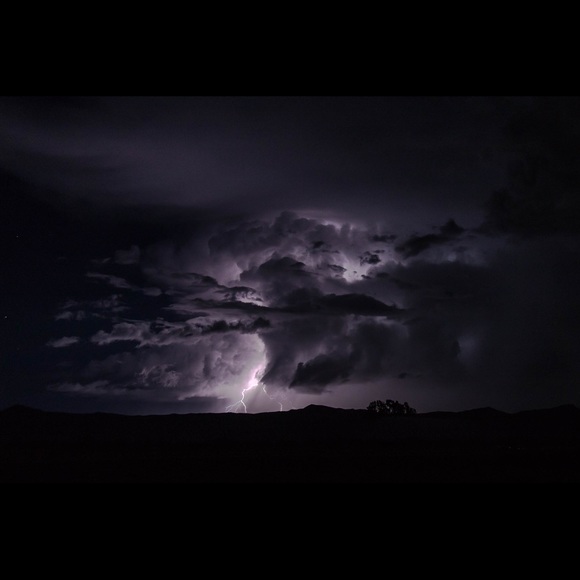 Meet your Posher, Jerrod - Picture 1 of 1